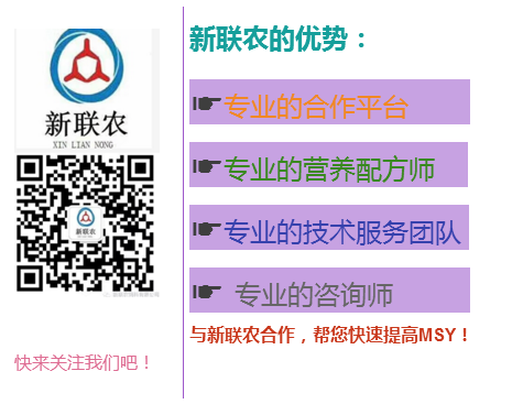 4bce4e05115243d3cbc3ca6fb4eb605.png
